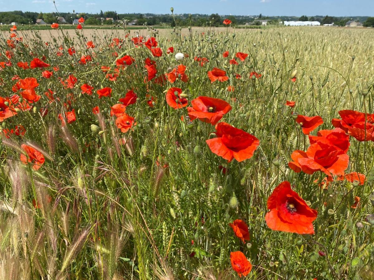 L'Ecrin De Verdure Ligre Luaran gambar