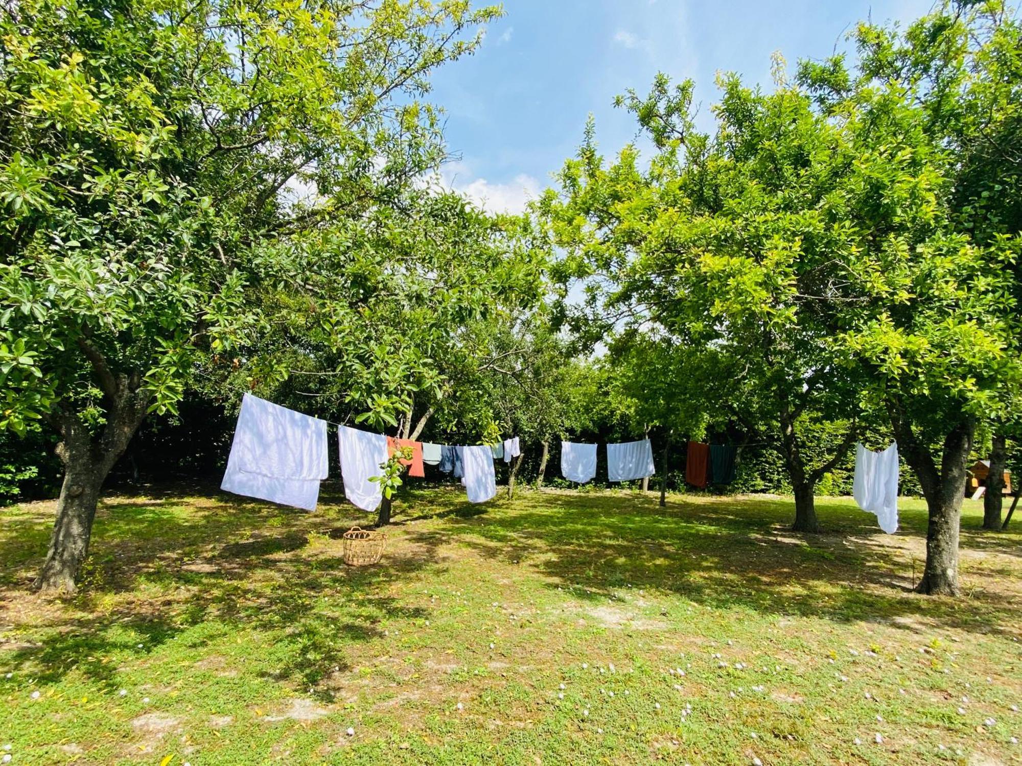 L'Ecrin De Verdure Ligre Luaran gambar