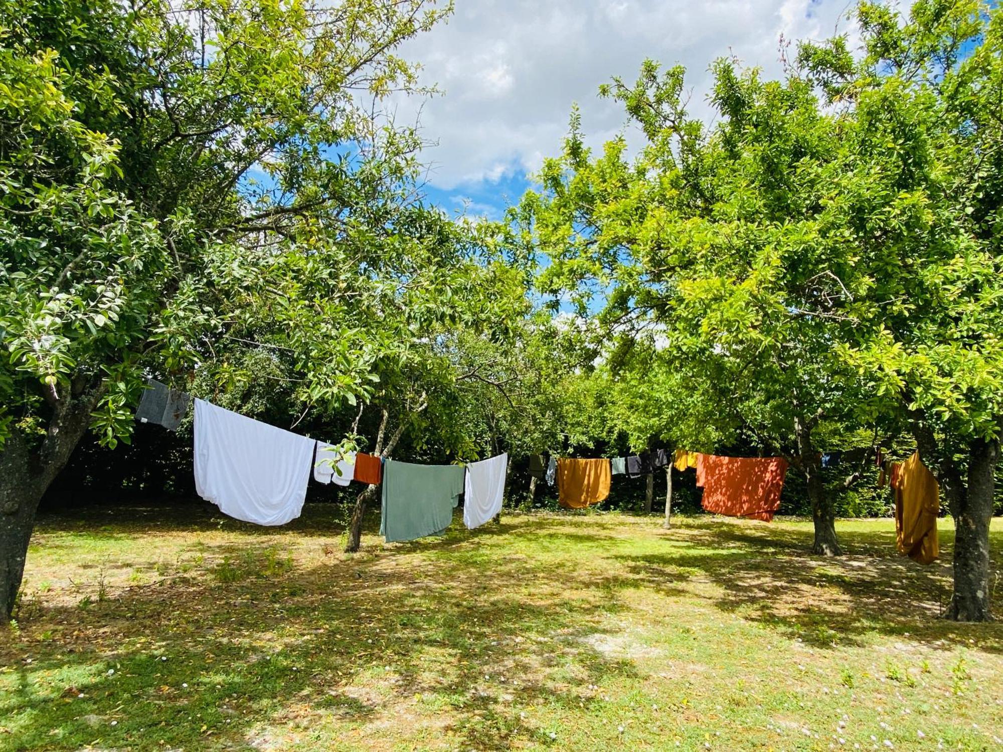 L'Ecrin De Verdure Ligre Luaran gambar