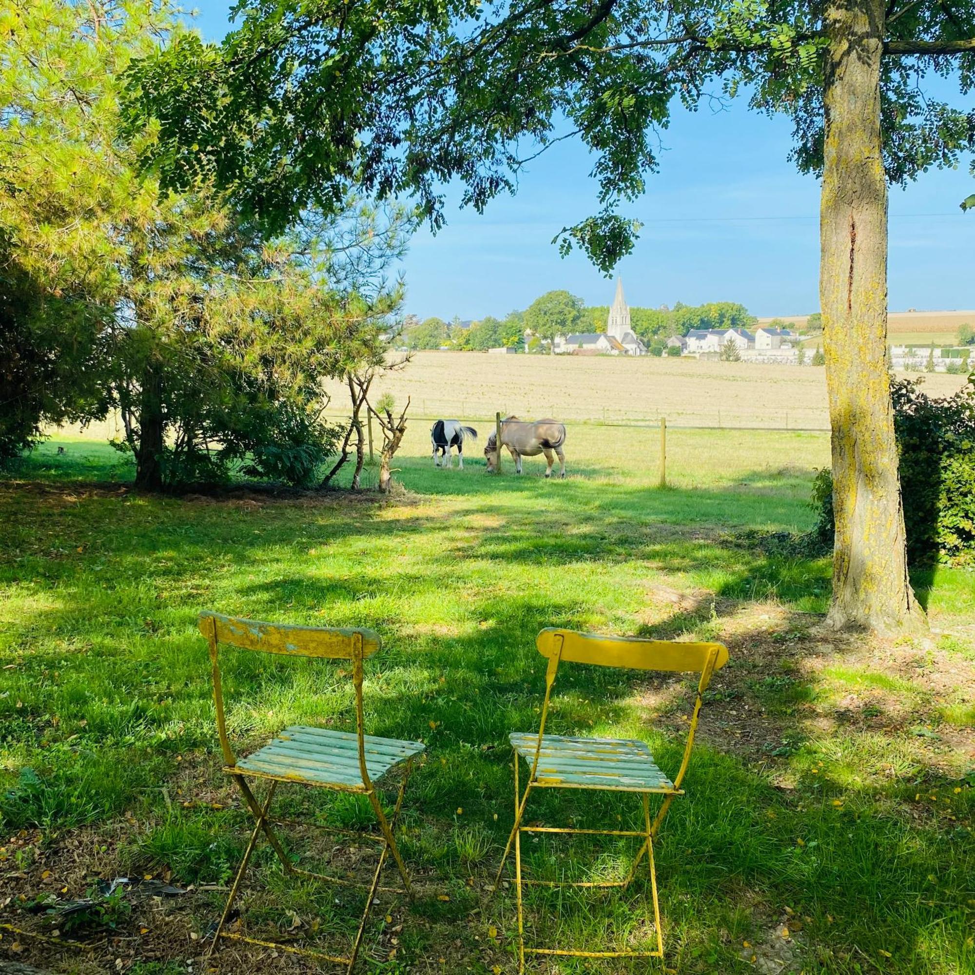 L'Ecrin De Verdure Ligre Luaran gambar