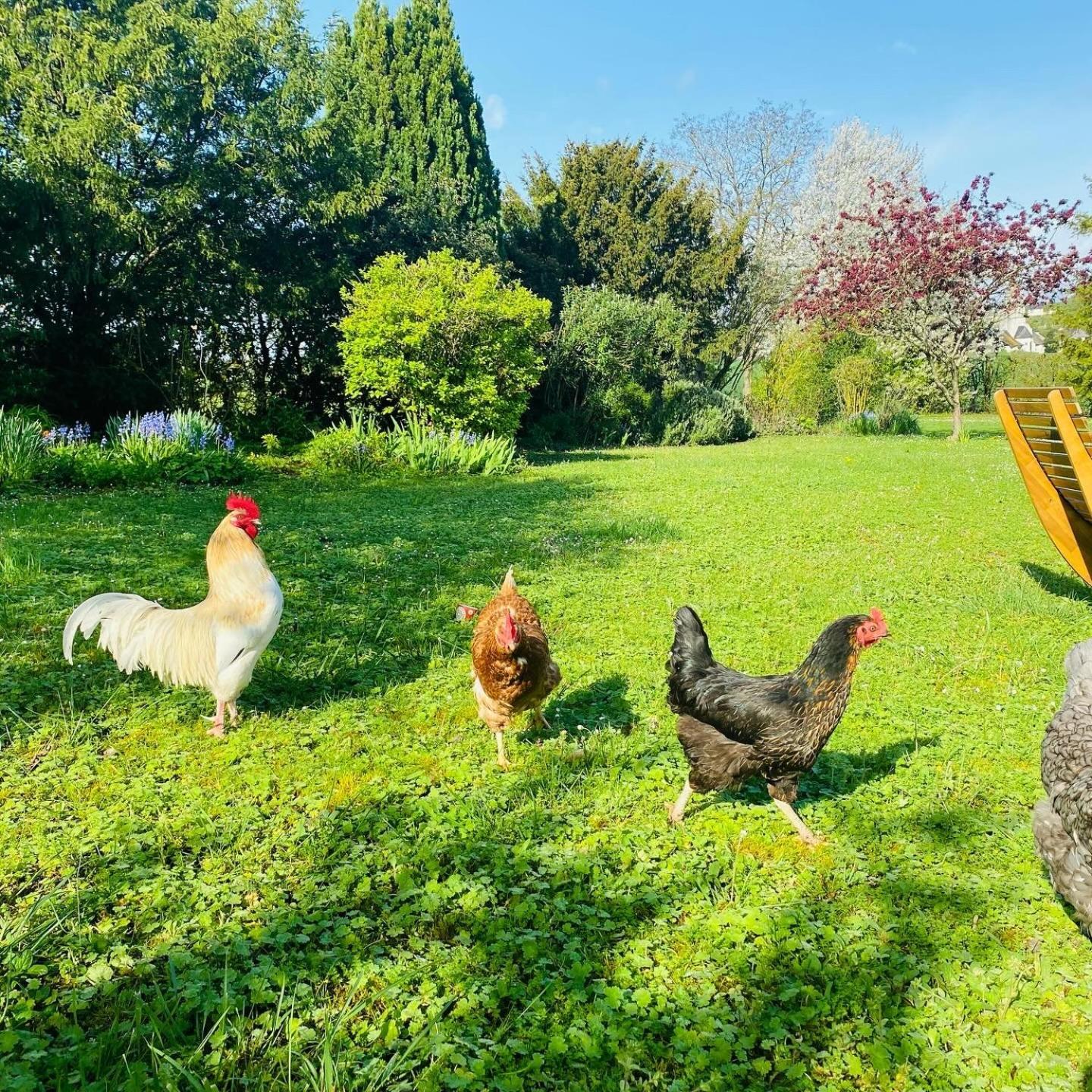 L'Ecrin De Verdure Ligre Luaran gambar
