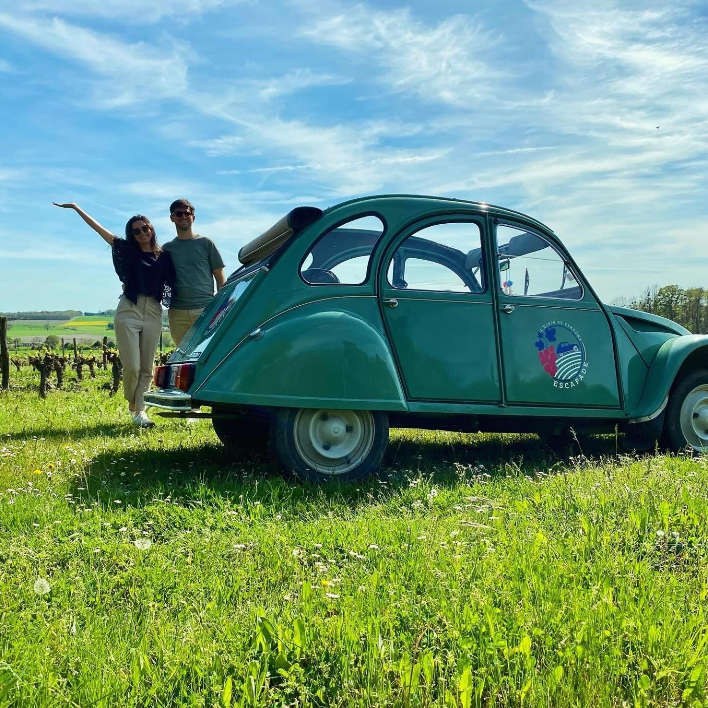 L'Ecrin De Verdure Ligre Luaran gambar