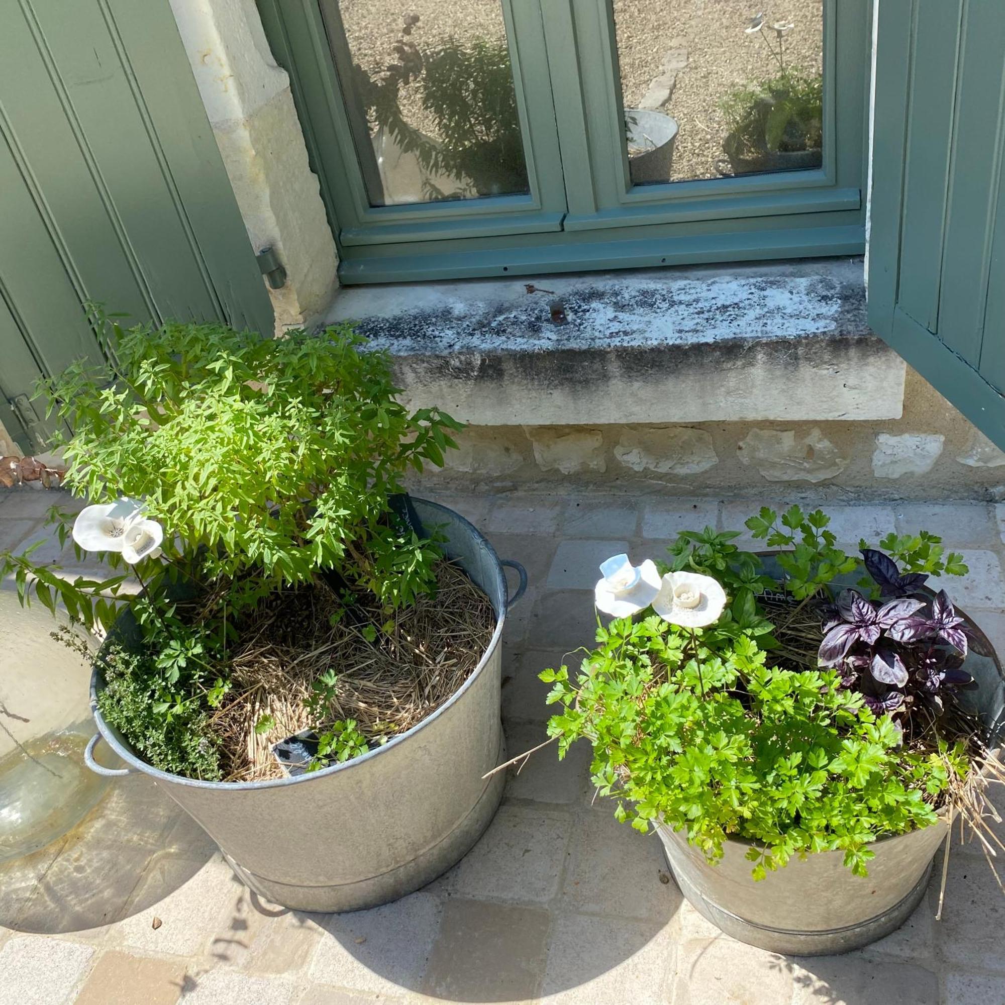 L'Ecrin De Verdure Ligre Luaran gambar