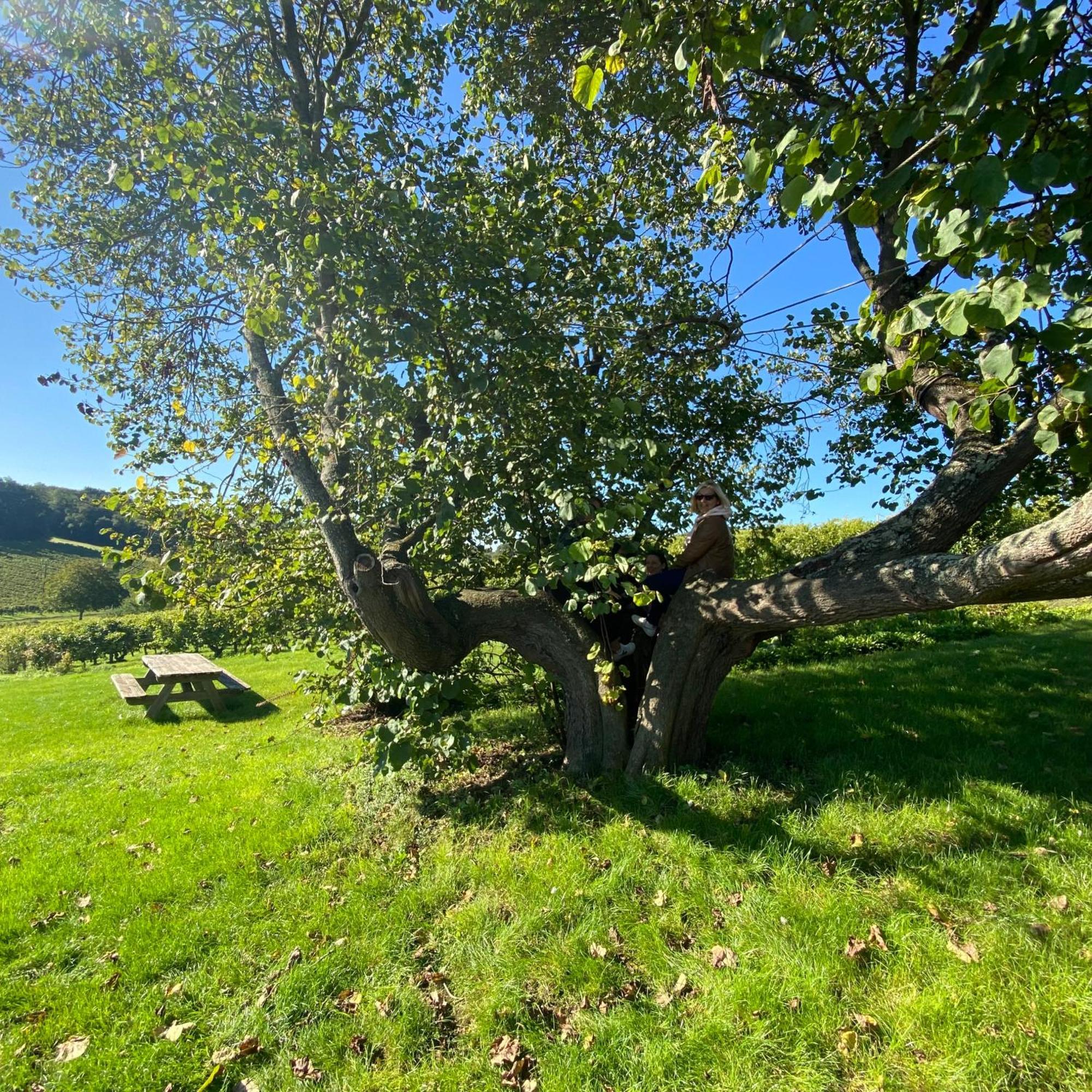 L'Ecrin De Verdure Ligre Luaran gambar